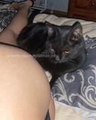 Анкета проститутки Мишель - метро Алтуфьевский, возраст - 23